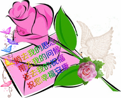 0fd13c373d594673927d1439469573dc.gif