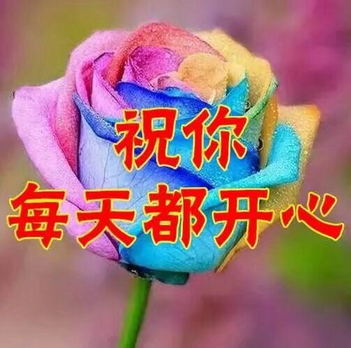 b3b4e86c90df4fa8bfa262b698c8d08c.jpg