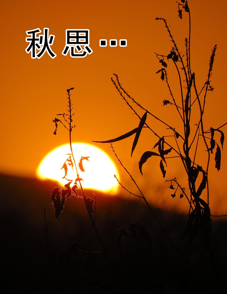 4ee7d3f34357aacbdbbd5a3ab1e89f85 (1).jpeg